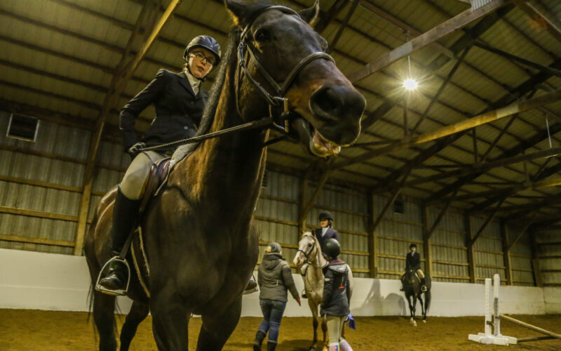 Dressage practice