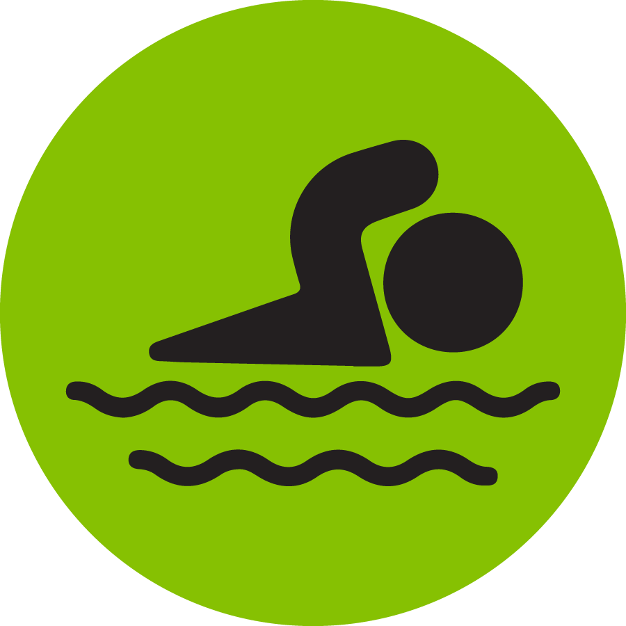 pool icon